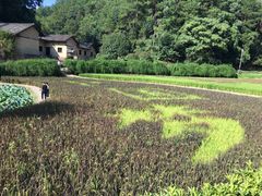 -韶山毛泽东同志故居