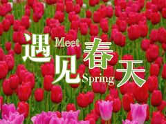-静安雕塑公园