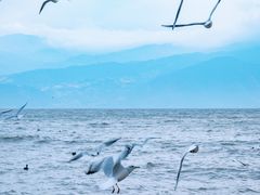 -西昌邛海湿地