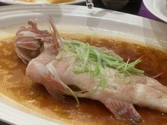 -新海利海鲜城·41年珠海老字号(夏湾店)