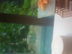 -在水一方商务休闲会所