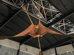 -湖南省地质博物馆