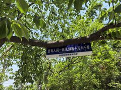 -紫金山山顶公园
