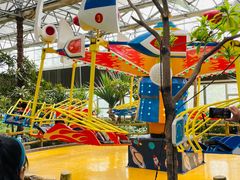 -南宫五洲植物乐园