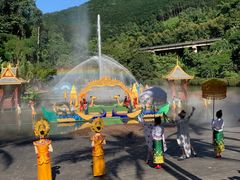 -西双版纳原始森林公园