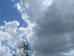 -新加坡飞禽公园