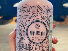 -野萃山·潮汕厚果汁(十亩地店)