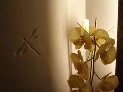 -Dragonfly悠庭·按摩Spa(新乐路店)