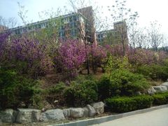 -山东师范大学(千佛山校区)
