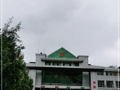 -打洛口岸