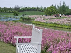 -花开海上生态园