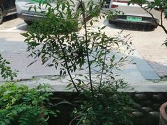 -花迹(富春江东街店)