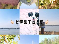 -鱼嘴湿地公园