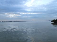 -宝安西湾红树林湿地公园