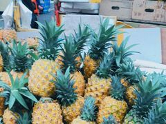 -三亚新鸿港水果一级批发市场