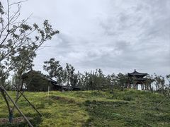 -白洋淀风景区
