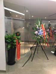 -海豚湾高端月子会所(黄浦店)