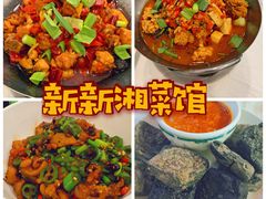 -新新湘菜馆(新中街二条店)