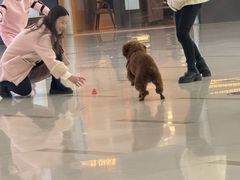 -万宝财富商业广场