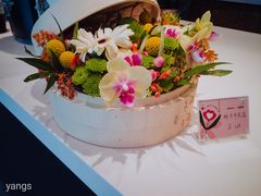 -dotcom coffee古点咖啡(致真大厦店)