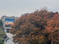 -证大大拇指广场(芳甸路店)