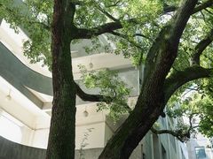 -湖北美术学院(昙华林校区)