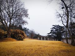 -青岛德国总督楼旧址博物馆