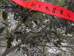 -午潮山国家森林公园