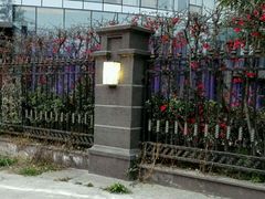 -四川大学(华西校区)