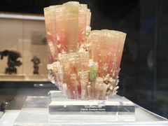 -安徽省地质博物馆