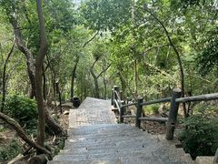 -紫金山山顶公园