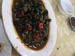 -蚝专家