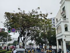 -三亚市第二中学