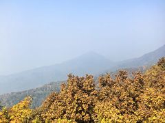 -吉林市朱雀山国家森林公园