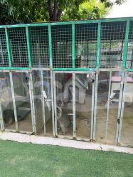 -萌宠亲子动物乐园(槐房万达店)