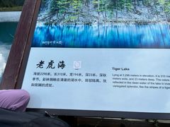 -九寨沟-树正沟