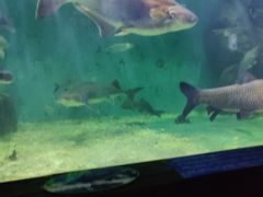 -上海长江河口科技馆