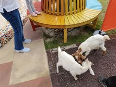 -太阳岛度假酒店