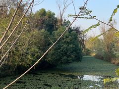 -西溪国家湿地公园