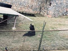 -宿豫区运河湾森林动物园