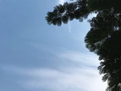 -转山咖啡(松柏社区店)