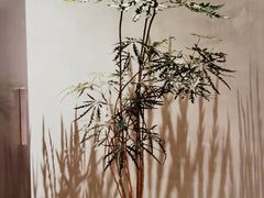 -二酉书店TOYOU BOOKS