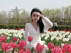 -金卉庄园