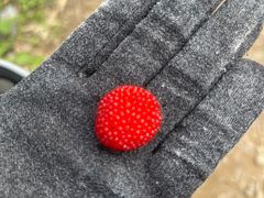 -心无尘茶餐馆(径山村店)