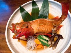 肥胖金吉鱼-桐寿司Sushi Tong