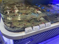 -大众海鲜(巨龙北路店)
