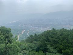 -缙云山景区