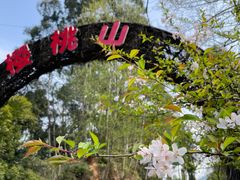 -樱桃山旅游景区