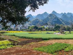 -万峰林风景区