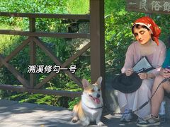 -石台牯牛降景区